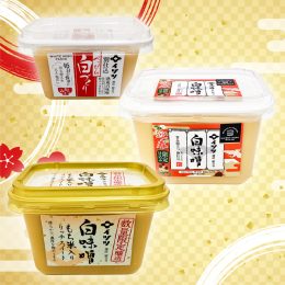 イヅツ白味噌 3点セットギフト